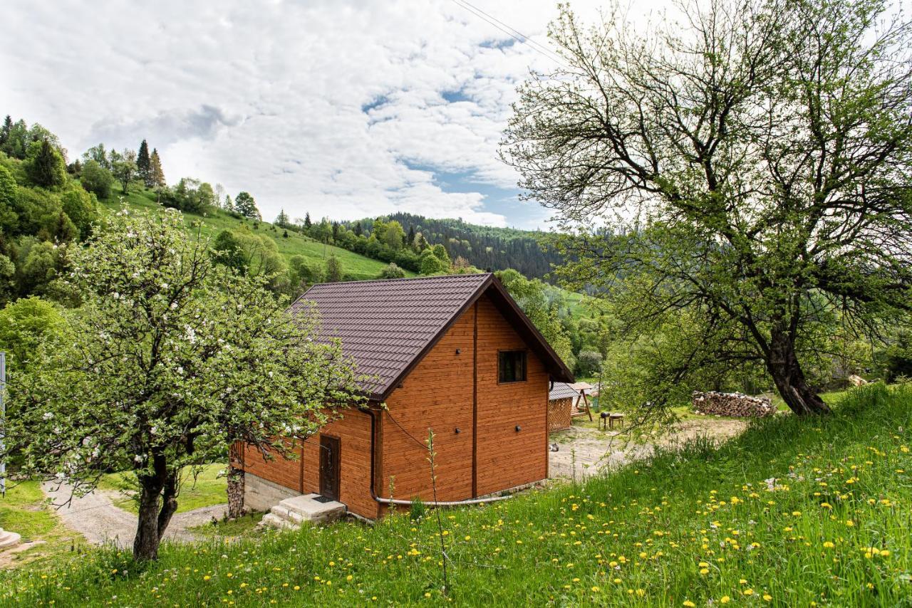 Villa Grace Orjavčyk Exteriér fotografie